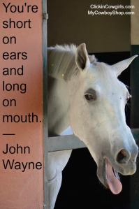 John Wayne Quote